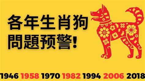 2023屬狗運勢1970|属狗人2023年全年运势详解 属狗2023年运势及运程每月运程